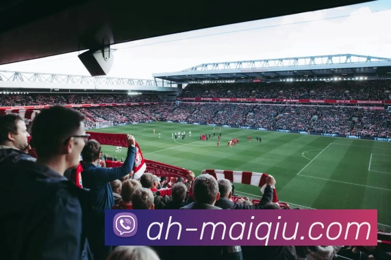 多媒体互动体验